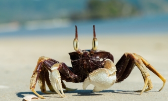 Et aspernatur laudantium maxime Et aspernatur laudantium maxime