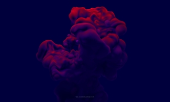 Eos non sequi Eos non sequi