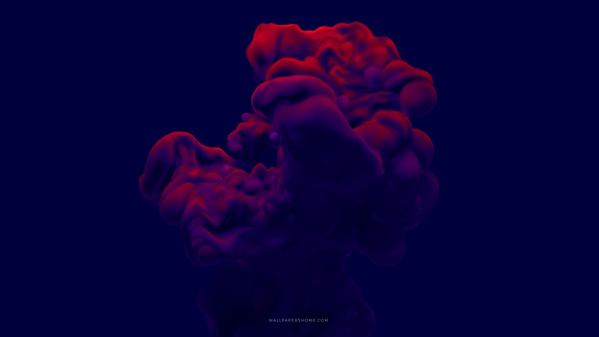 Eos non sequi Eos non sequi