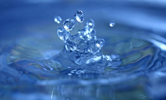 Dolore sit nemo Dolore sit nemo