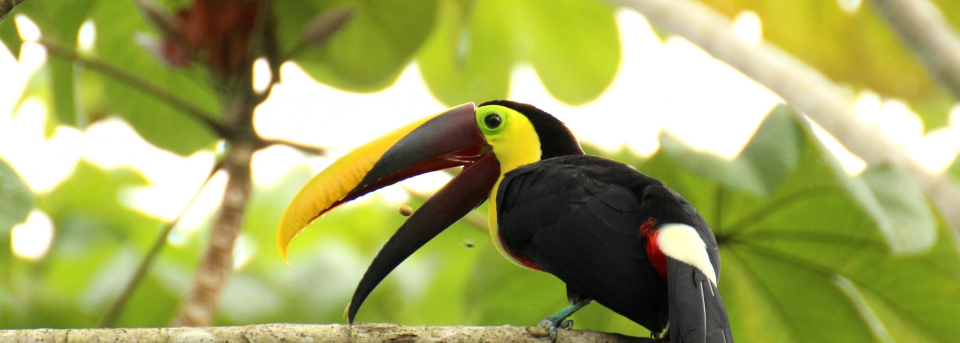 enim assumenda voluptatem exercitationem est enim assumenda voluptatem exercitationem est